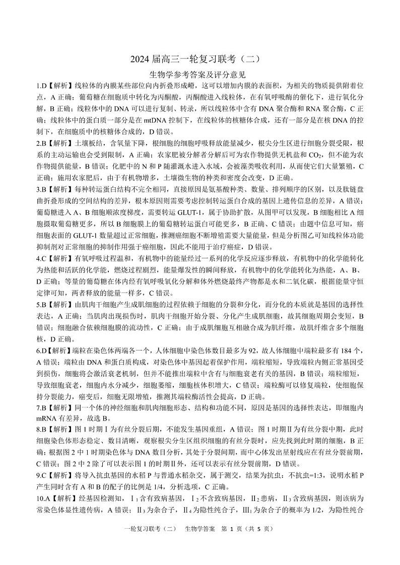河南省豫北名校2024届高三毕业班一轮复习联考(二)生物 试卷01