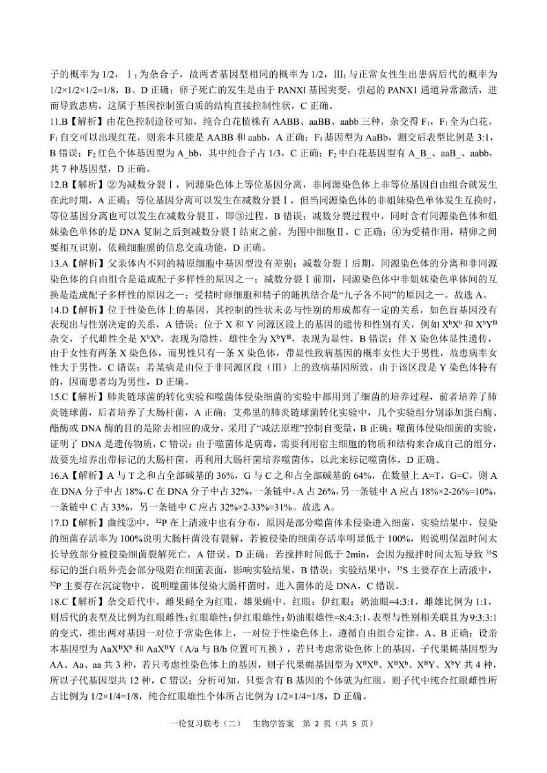 河南省豫北名校2024届高三毕业班一轮复习联考(二)生物 试卷02