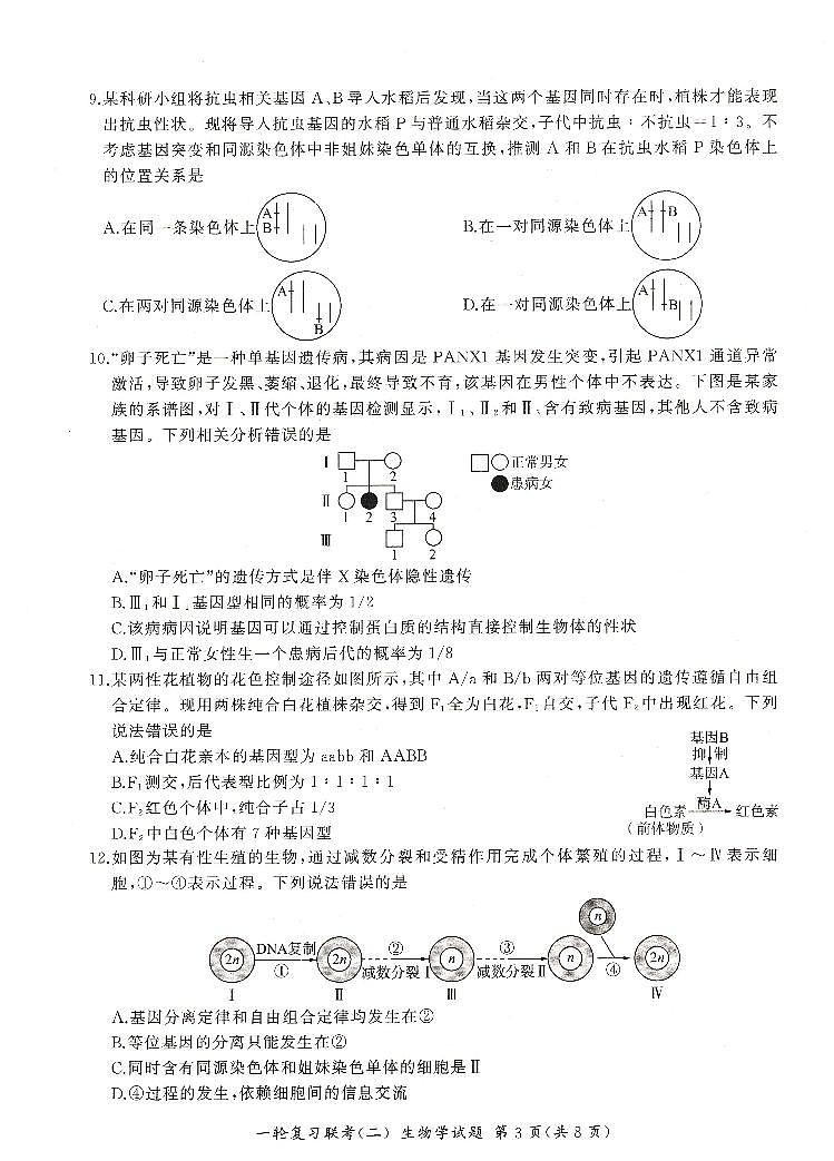 河南省豫北名校2024届高三毕业班一轮复习联考(二)生物 试卷03
