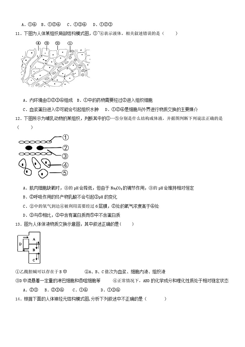 福建省漳州市华安第一中学2023-2024学年高二上学期10月月考生物试题第3页