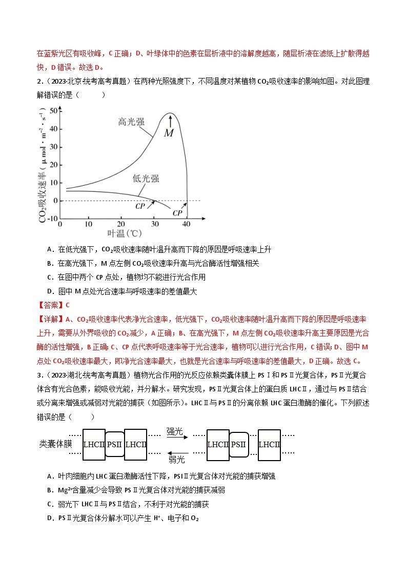 (2014-2023)高考生物真题汇编专题06 光合作用（含解析）02