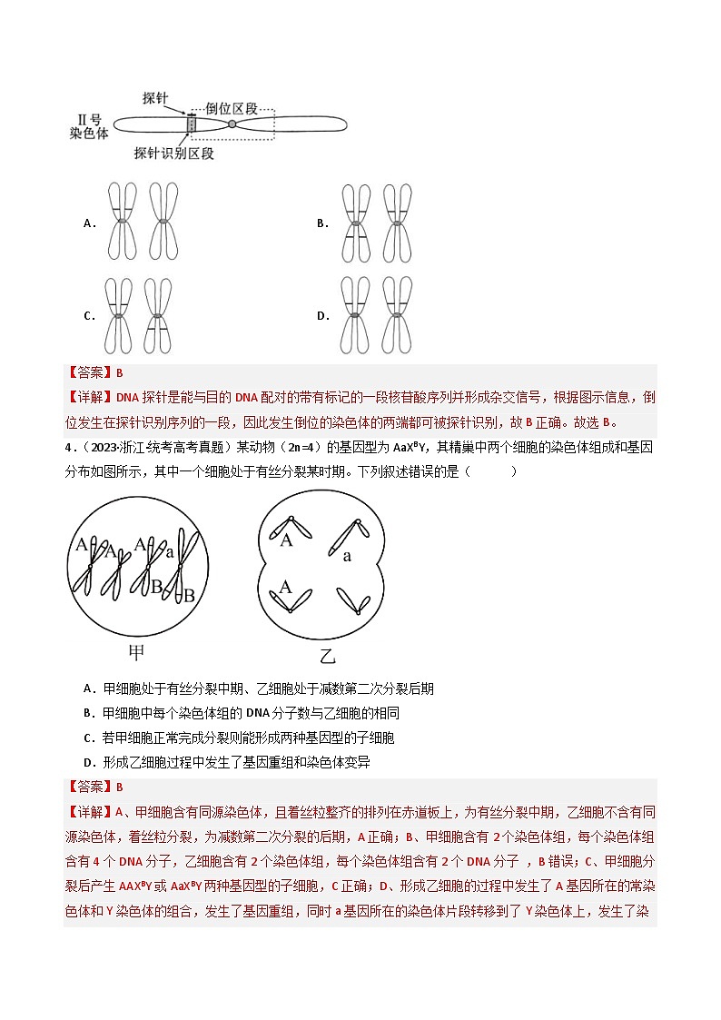 (2014-2023)高考生物真题汇编专题14 变异、育种与进化(含解析)03