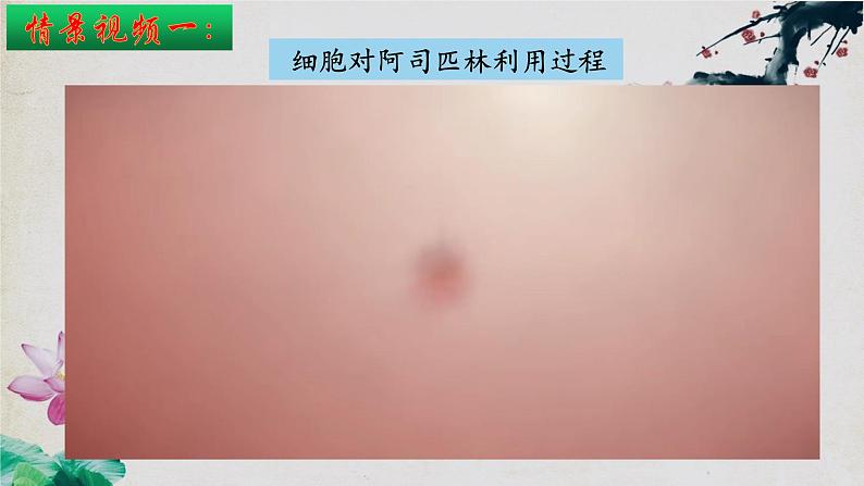 1.1+细胞生活的环境(第二课时)-【探究课堂】2023-2024学年高二生物上学期同步优质课件(人教版2019选择性必修1)第3页