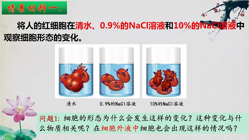 1.1+细胞生活的环境(第二课时)-【探究课堂】2023-2024学年高二生物上学期同步优质课件(人教版2019选择性必修1)第4页
