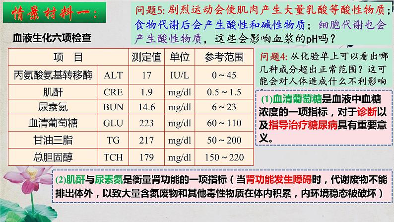 1.2+内环境的稳态-【探究课堂】2023-2024学年高二生物上学期同步优质课件(人教版2019选择性必修1)06