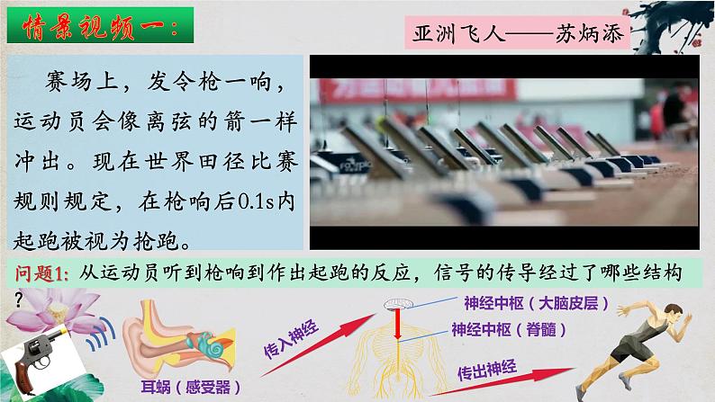 2.3+神经冲动的产生和传导(第一课时)-【探究课堂】2023-2024学年高二生物上学期同步优质课件(人教版2019选择性必修1)第3页