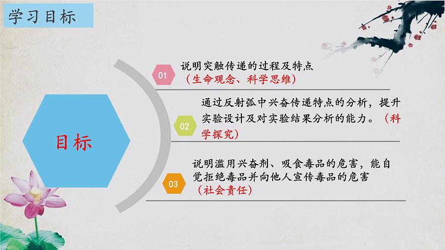 2.3+神經(jīng)沖動的產(chǎn)生和傳導(第二課時)-【探究課堂】2023-2024學年高二生物上學期同步優(yōu)質課件(人教版2019選擇性必修1)第2頁