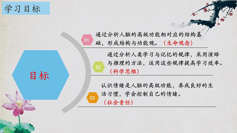 2.5+人脑的高级功能-【探究课堂】2023-2024学年高二生物上学期同步优质课件(人教版2019选择性必修1)02