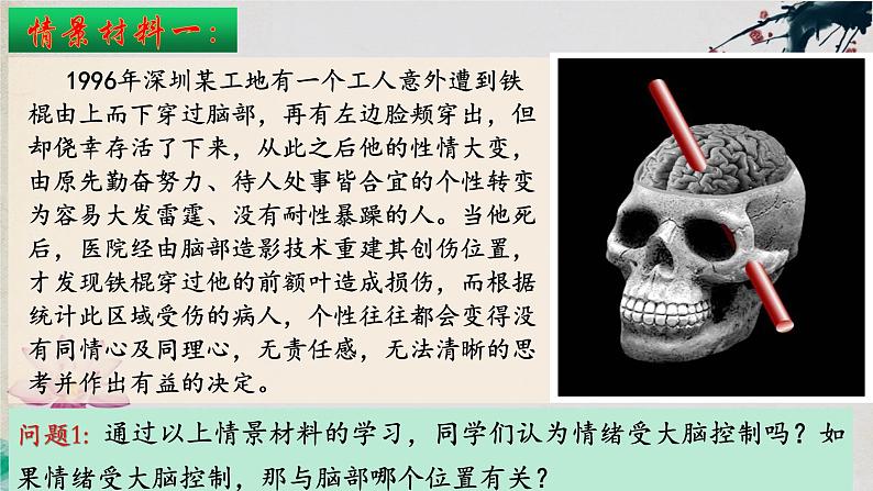 2.5+人脑的高级功能-【探究课堂】2023-2024学年高二生物上学期同步优质课件(人教版2019选择性必修1)03