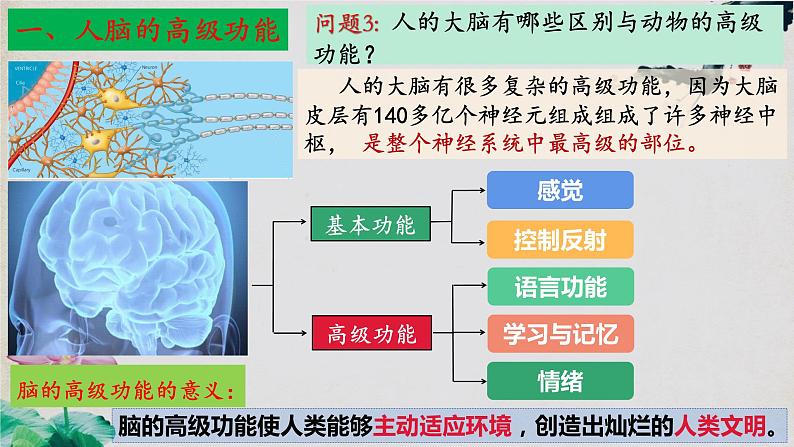 2.5+人脑的高级功能-【探究课堂】2023-2024学年高二生物上学期同步优质课件(人教版2019选择性必修1)06