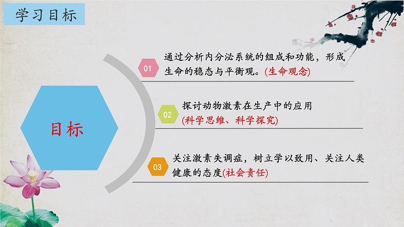 3.1+激素与内分泌系统(第二课时)-【探究课堂】2023-2024学年高二生物上学期同步优质课件(人教版2019选择性必修1)第2页