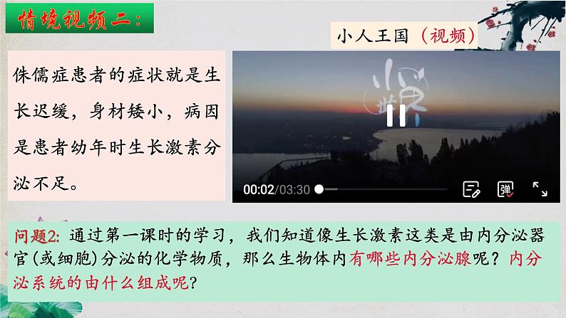 3.1+激素与内分泌系统(第二课时)-【探究课堂】2023-2024学年高二生物上学期同步优质课件(人教版2019选择性必修1)第4页