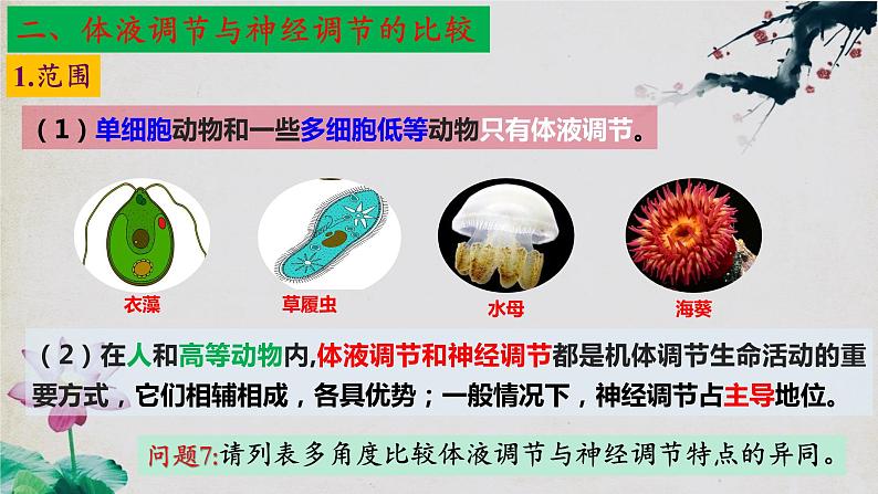 3.3+体液调节与神经调节的关系(第一课时)-【探究课堂】2023-2024学年高二生物上学期同步优质课件(人教版2019选择性必修1)第8页