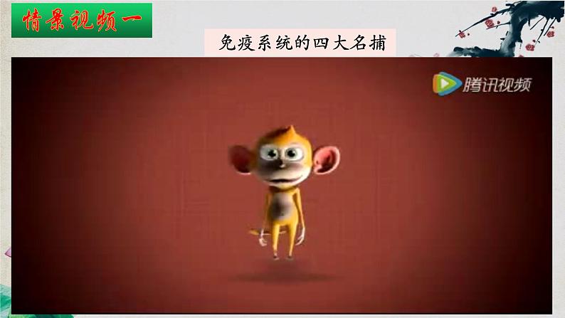 4.1+免疫系统的组成和功能(第二课时)-【探究课堂】2023-2024学年高二生物上学期同步优质课件(人教版2019选择性必修1)第4页