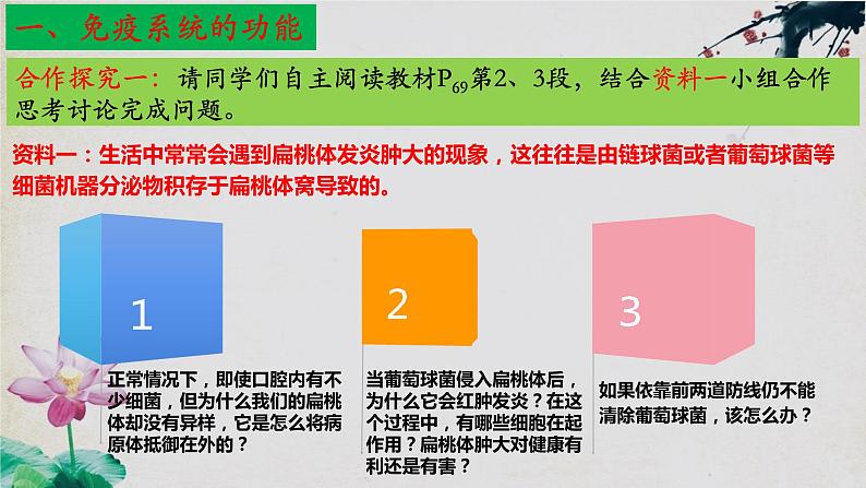 4.1+免疫系统的组成和功能(第二课时)-【探究课堂】2023-2024学年高二生物上学期同步优质课件(人教版2019选择性必修1)第6页