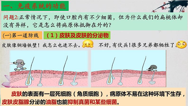 4.1+免疫系统的组成和功能(第二课时)-【探究课堂】2023-2024学年高二生物上学期同步优质课件(人教版2019选择性必修1)第8页