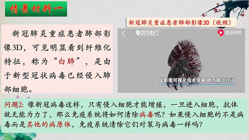 4.2+特异性免疫(第二课时)-【探究课堂】2023-2024学年高二生物上学期同步优质课件(人教版2019选择性必修1)第4页
