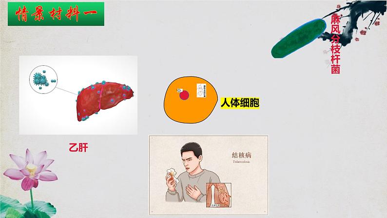 4.2+特异性免疫(第二课时)-【探究课堂】2023-2024学年高二生物上学期同步优质课件(人教版2019选择性必修1)第7页