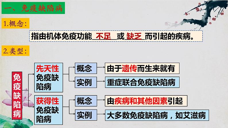 4.3+免疫失调(第二课时)-【探究课堂】2023-2024学年高二生物上学期同步优质课件(人教版2019选择性必修1)第6页
