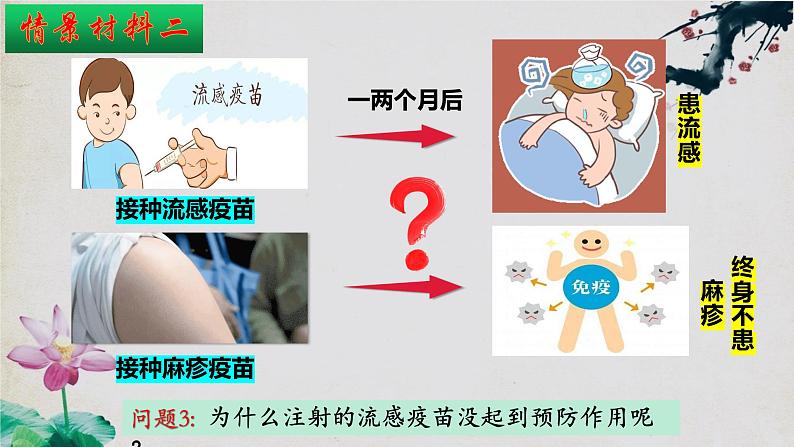 4.4+免疫学的应用-【探究课堂】2023-2024学年高二生物上学期同步优质课件(人教版2019选择性必修1)第5页