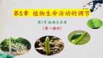 人教版 (2019)選擇性必修1第5章 植物生命活動的調(diào)節(jié)第1節(jié) 植物生長素集體備課ppt課件