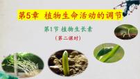 高中生物人教版 (2019)選擇性必修1第1節(jié) 植物生長(zhǎng)素教課內(nèi)容ppt課件