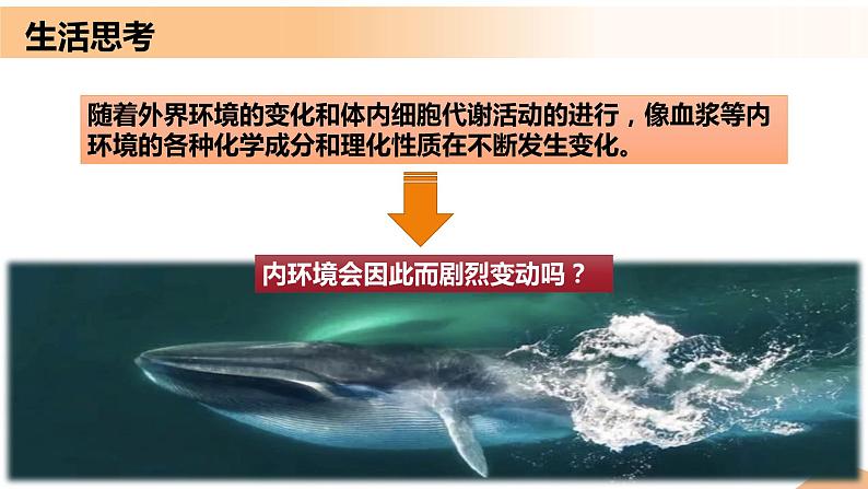 1.2+内环境的稳态(教学课件)-高二生物同步备课系列(人教版2019选择性必修1)第2页