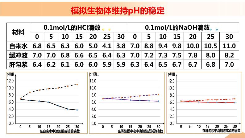 1.2+内环境的稳态(教学课件)-高二生物同步备课系列(人教版2019选择性必修1)第6页