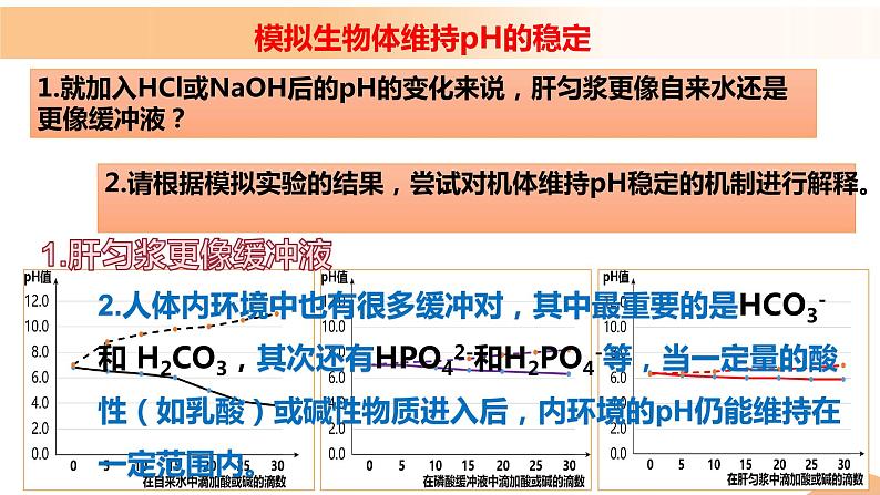1.2+内环境的稳态(教学课件)-高二生物同步备课系列(人教版2019选择性必修1)第7页
