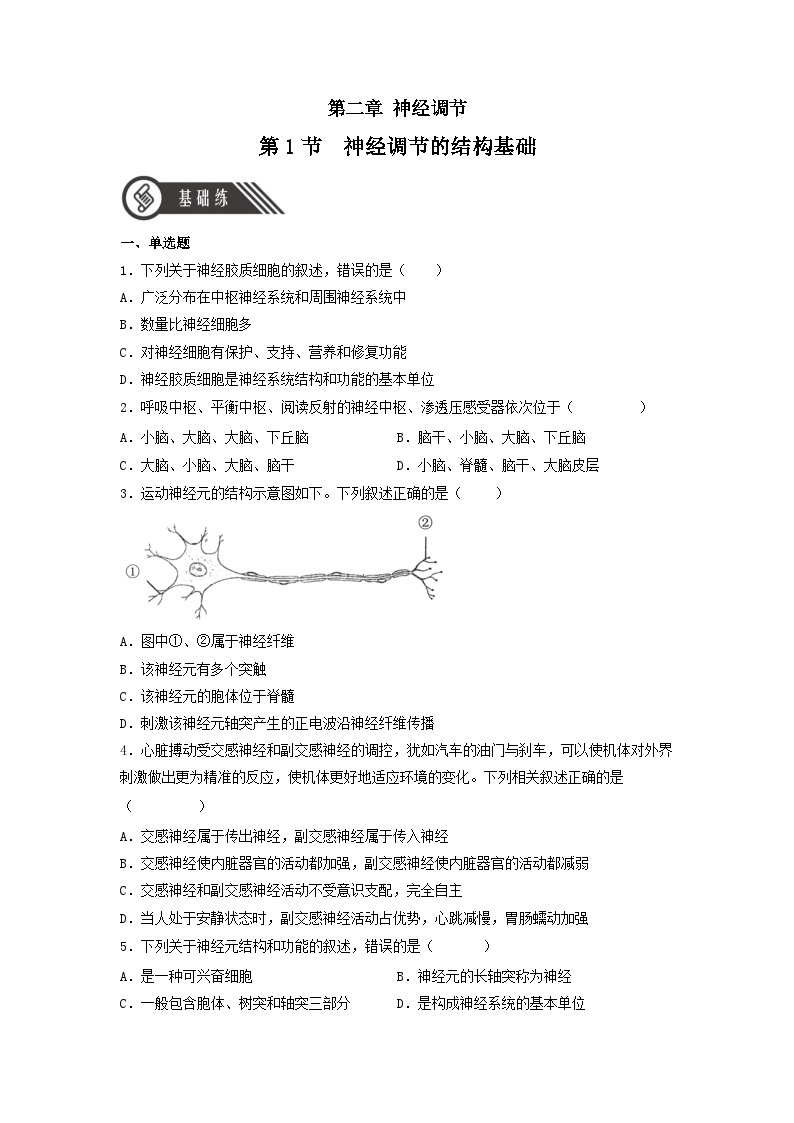 2.1+神经调节的结构基础（课件+教案+导学案+练习）-高二生物同步备课系列（人教版2019选择性必修1）01