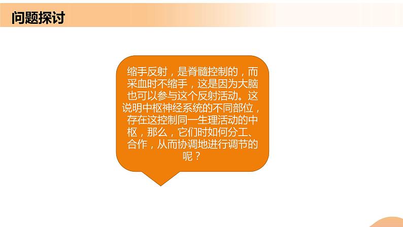 2.4+神经系统的分级调节(课件+教案+导学案+练习)-高二生物同步备课系列(人教版2019选择性必修1)02