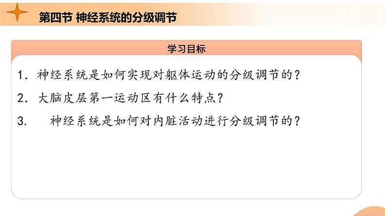 2.4+神经系统的分级调节(课件+教案+导学案+练习)-高二生物同步备课系列(人教版2019选择性必修1)04