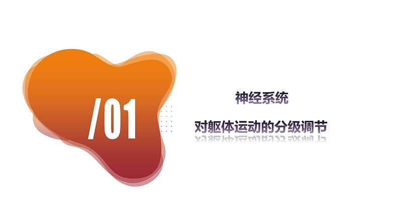 2.4+神经系统的分级调节(课件+教案+导学案+练习)-高二生物同步备课系列(人教版2019选择性必修1)05