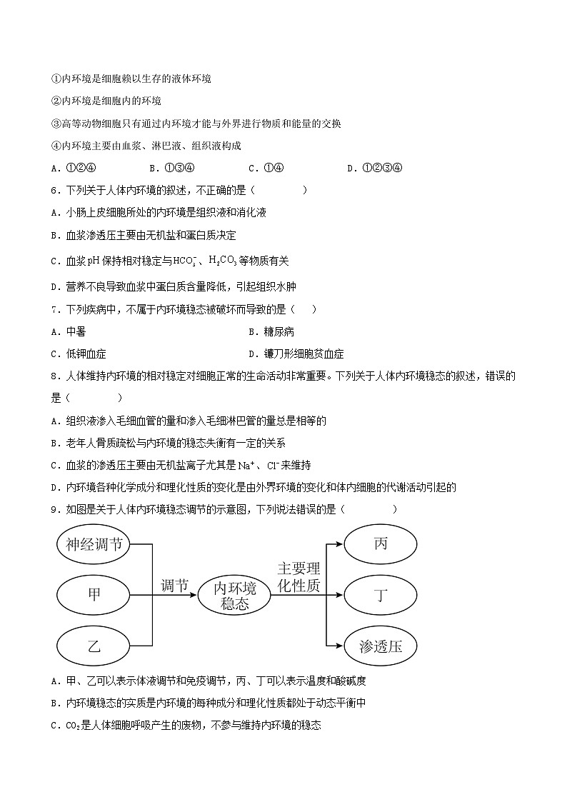第一章+人体的内环境与稳态(单元复习课件+单元解读课件+单元知识清单+单元测试)-高二生物同步备课系列(人教版2019选择性必修1)02