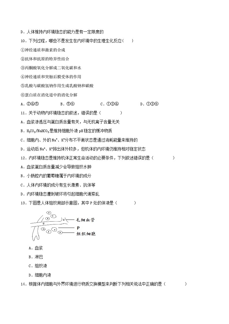 第一章+人体的内环境与稳态(单元复习课件+单元解读课件+单元知识清单+单元测试)-高二生物同步备课系列(人教版2019选择性必修1)03
