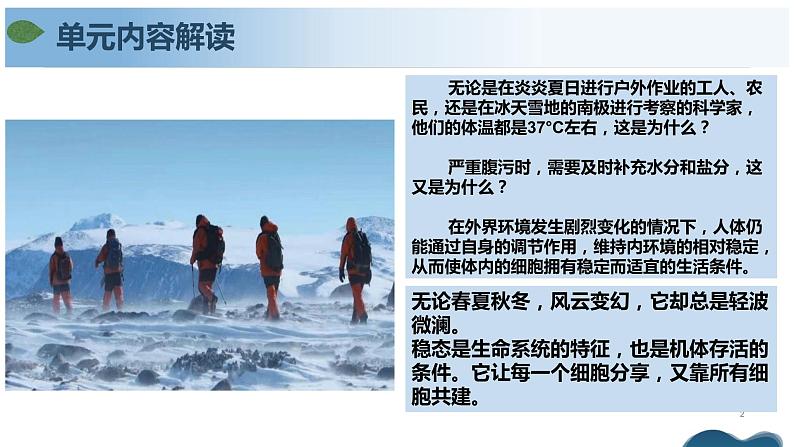 第一章+人体的内环境与稳态(单元复习课件+单元解读课件+单元知识清单+单元测试)-高二生物同步备课系列(人教版2019选择性必修1)02