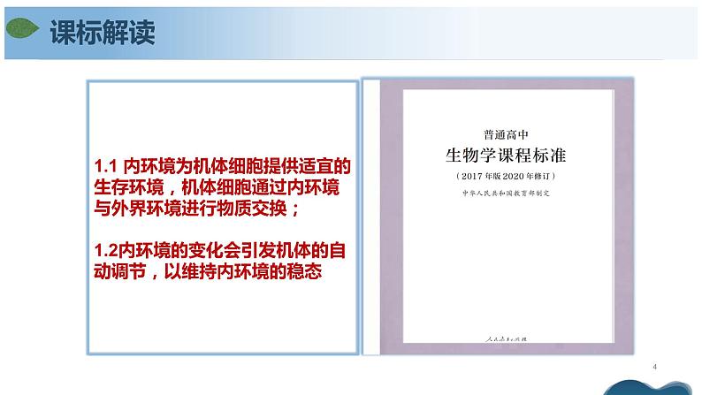 第一章+人体的内环境与稳态(单元复习课件+单元解读课件+单元知识清单+单元测试)-高二生物同步备课系列(人教版2019选择性必修1)04