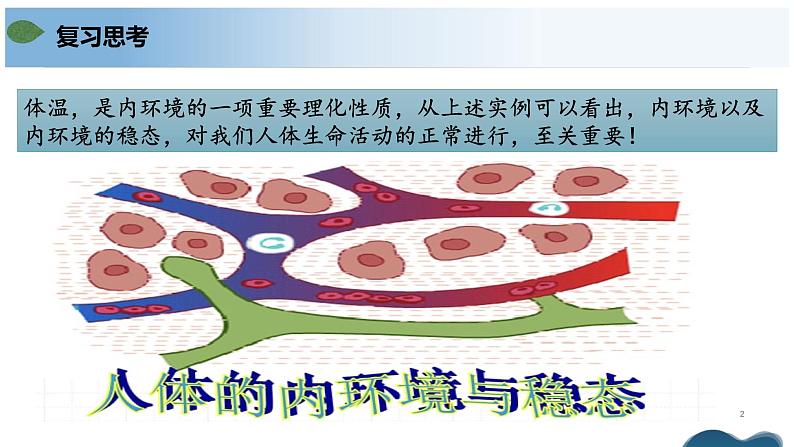 第一章+人体的内环境与稳态(单元复习课件+单元解读课件+单元知识清单+单元测试)-高二生物同步备课系列(人教版2019选择性必修1)02