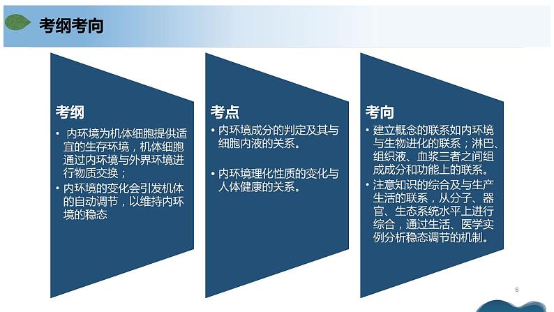 第一章+人体的内环境与稳态(单元复习课件+单元解读课件+单元知识清单+单元测试)-高二生物同步备课系列(人教版2019选择性必修1)06