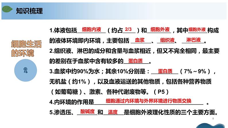 第一章+人体的内环境与稳态(单元复习课件+单元解读课件+单元知识清单+单元测试)-高二生物同步备课系列(人教版2019选择性必修1)08