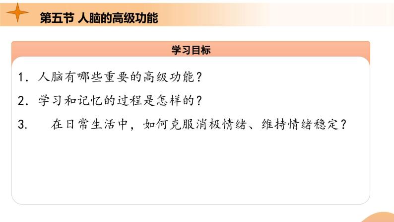 2.5+人脑的高级功能（课件+教案+导学案+练习）-高二生物同步备课系列（人教版2019选择性必修1）03