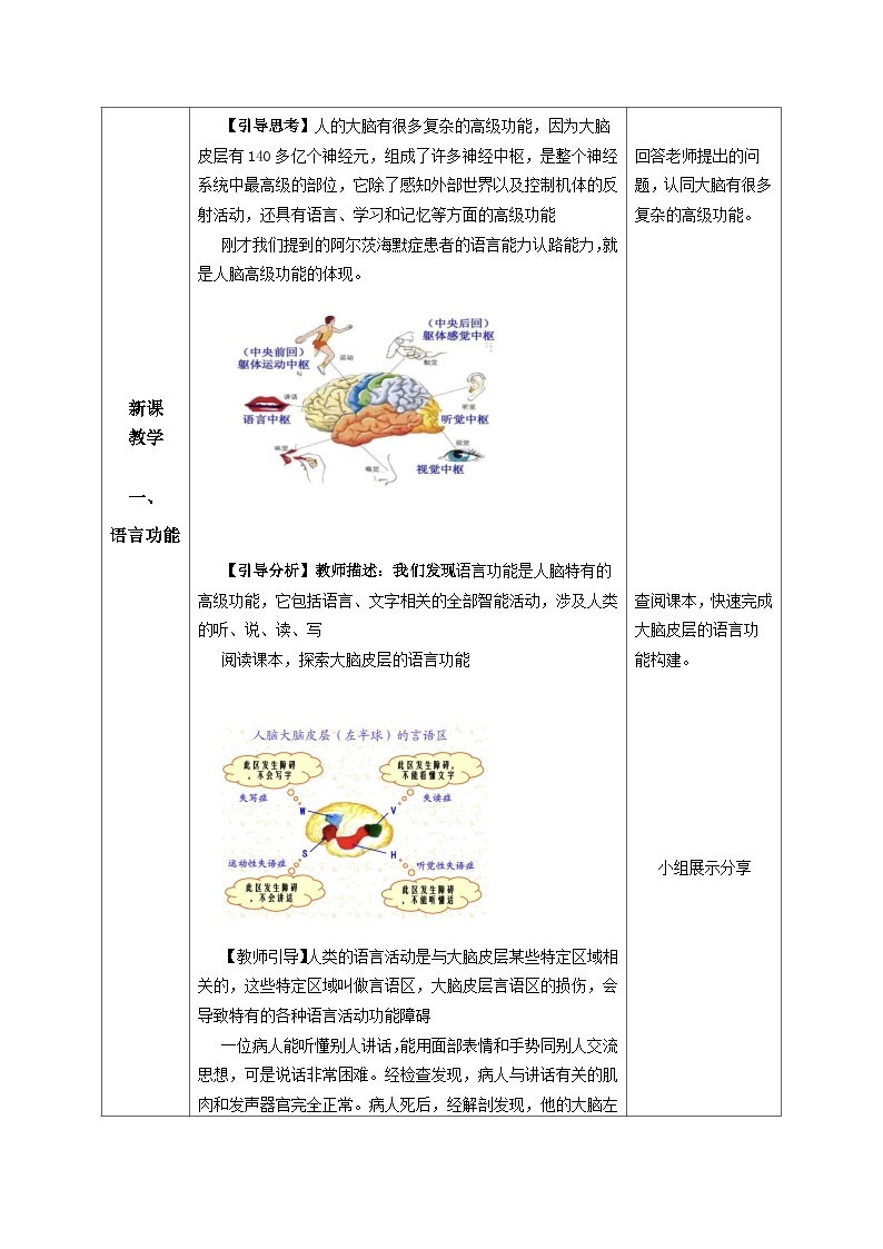 2.5+人脑的高级功能（课件+教案+导学案+练习）-高二生物同步备课系列（人教版2019选择性必修1）02