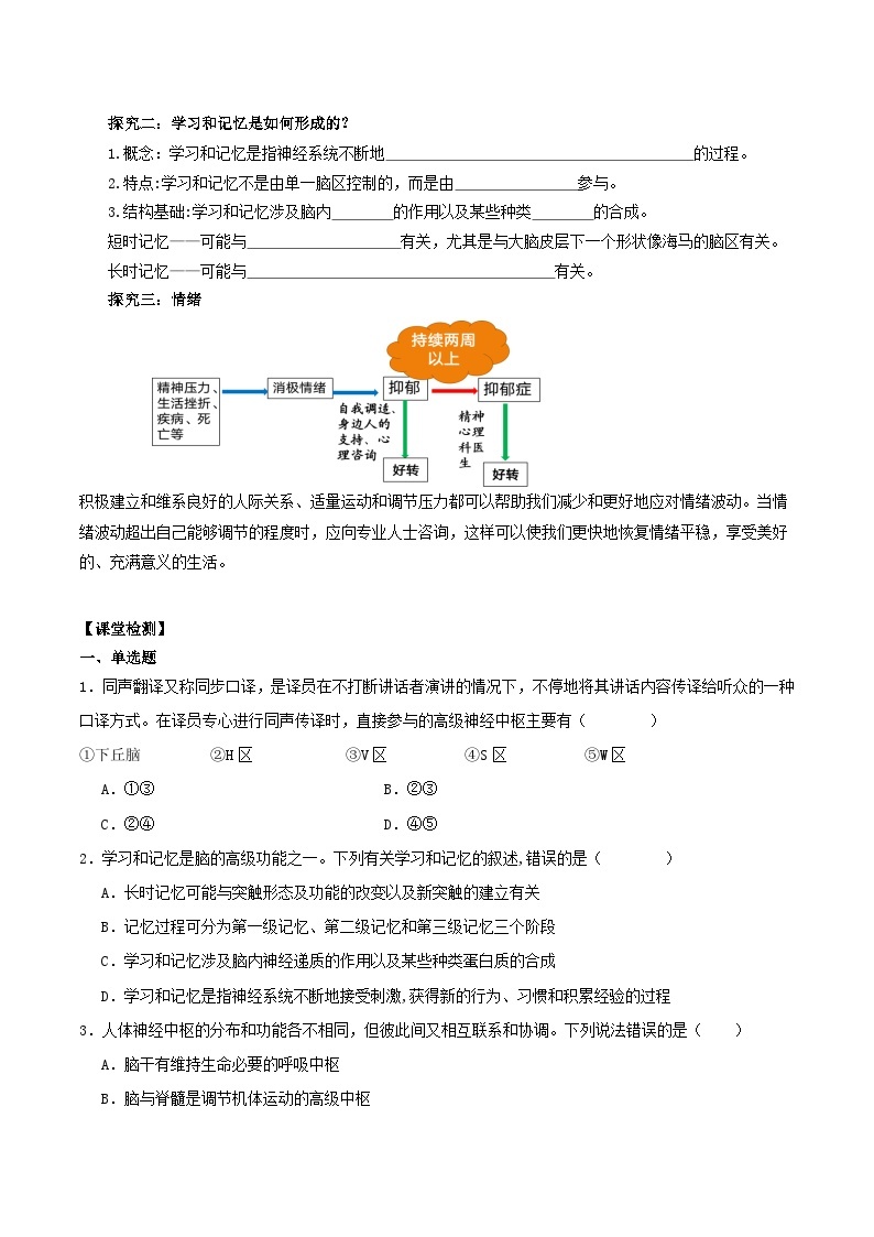 2.5+人脑的高级功能（课件+教案+导学案+练习）-高二生物同步备课系列（人教版2019选择性必修1）02