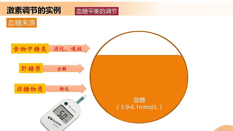 3.2+激素调节的过程(课件+教案+导学案+练习)-高二生物同步备课系列(人教版2019选择性必修1)06
