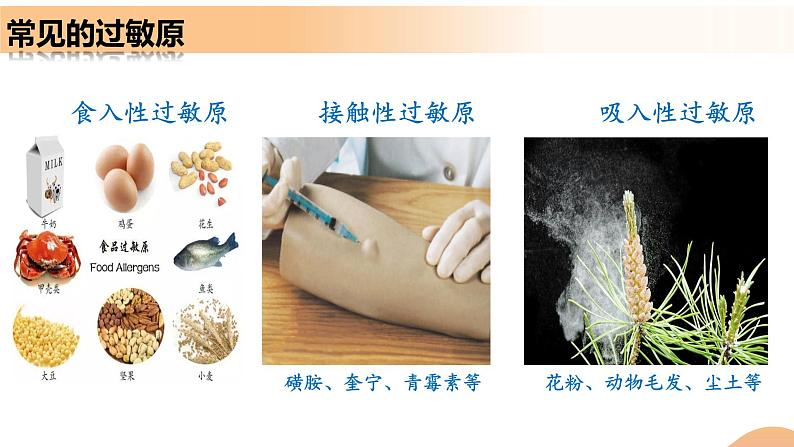 4.3+免疫失调(教学课件)-高二生物同步备课系列(人教版2019选择性必修1)第7页