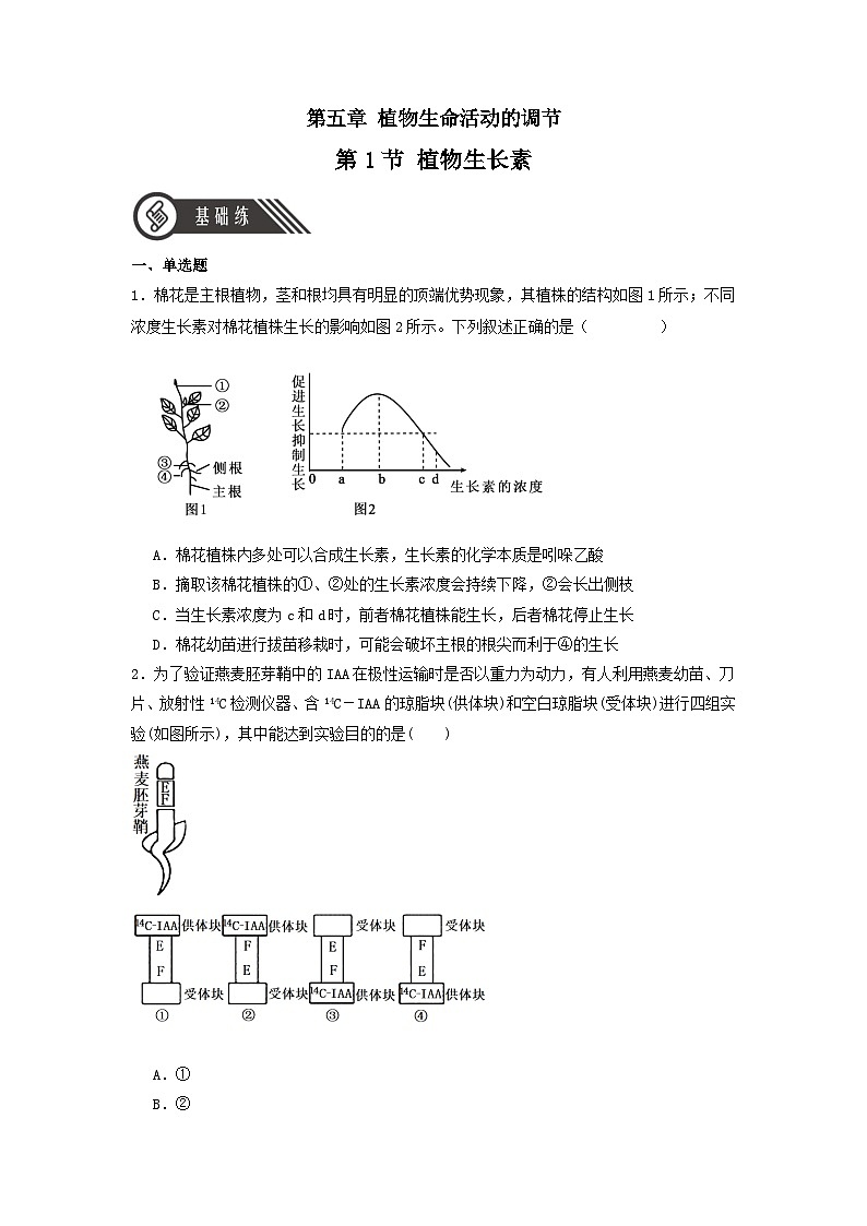 5.1+植物生长素(课件+教案+导学案+练习)-高二生物同步备课系列(人教版2019选择性必修1)01