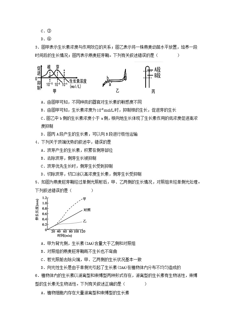 5.1+植物生长素(课件+教案+导学案+练习)-高二生物同步备课系列(人教版2019选择性必修1)02