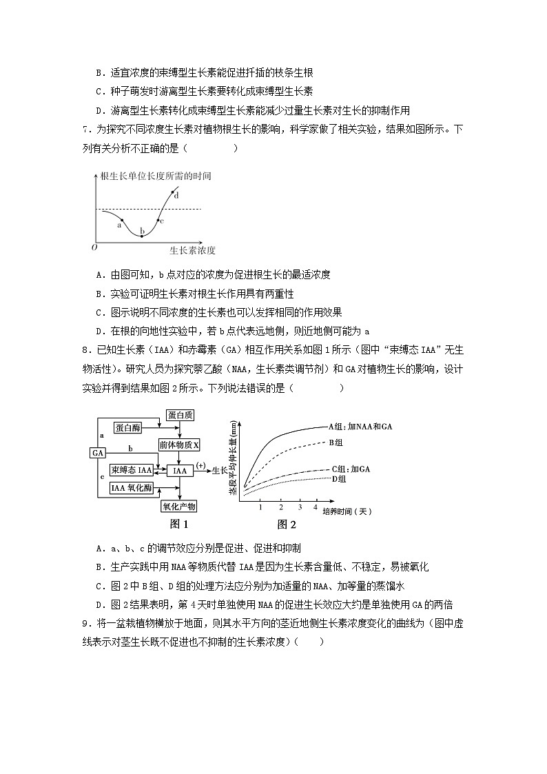 5.1+植物生长素(课件+教案+导学案+练习)-高二生物同步备课系列(人教版2019选择性必修1)03