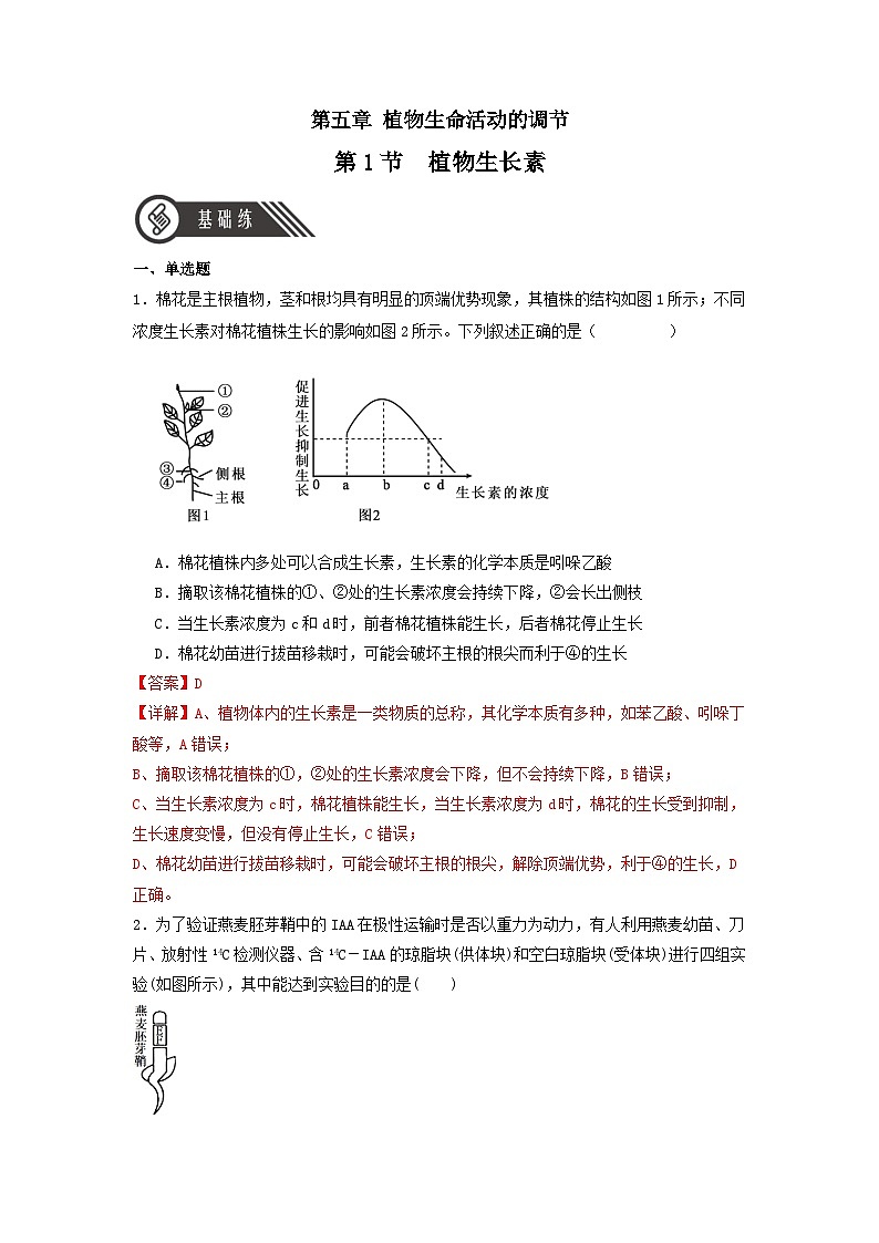 5.1+植物生长素(课件+教案+导学案+练习)-高二生物同步备课系列(人教版2019选择性必修1)01