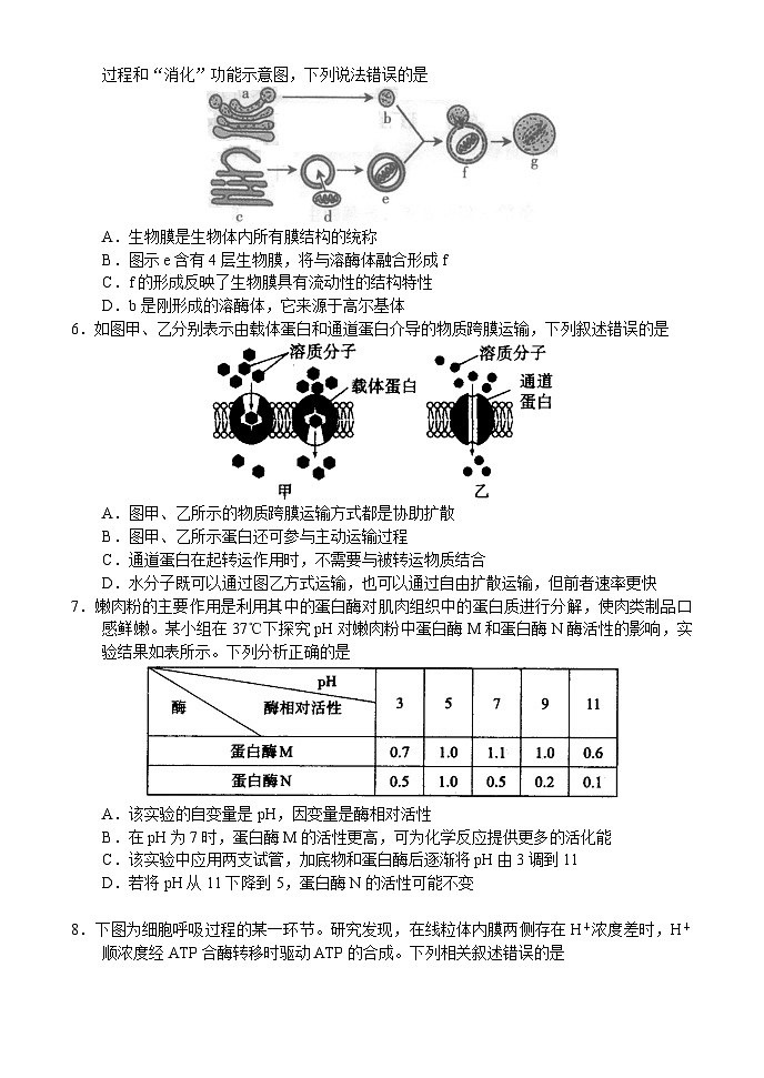 河南省顶级名校2023-2024学年高三生物上学期10月质量监测试题(Word版附解析)02